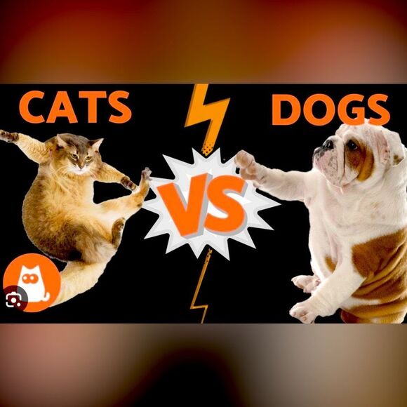 Letβsβdo it again!! DOGS VS CATS! Bring your funny, odd, weird items!! - Picture 1 of 7